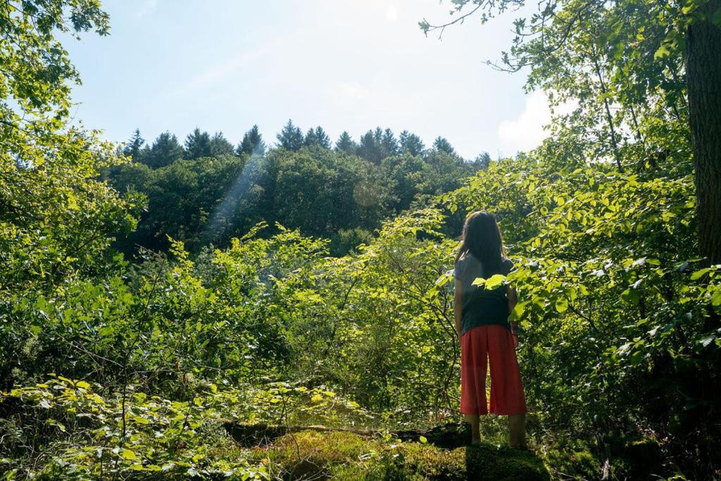 Camping Bockenauer Schweiz Ngoại thất bức ảnh