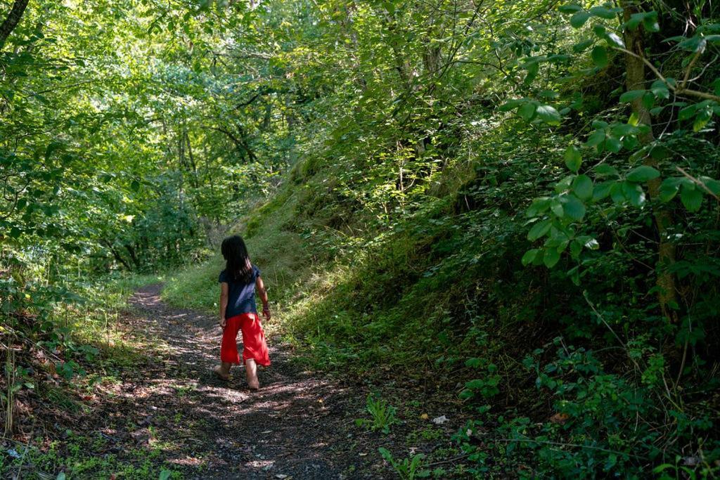 Camping Bockenauer Schweiz Ngoại thất bức ảnh